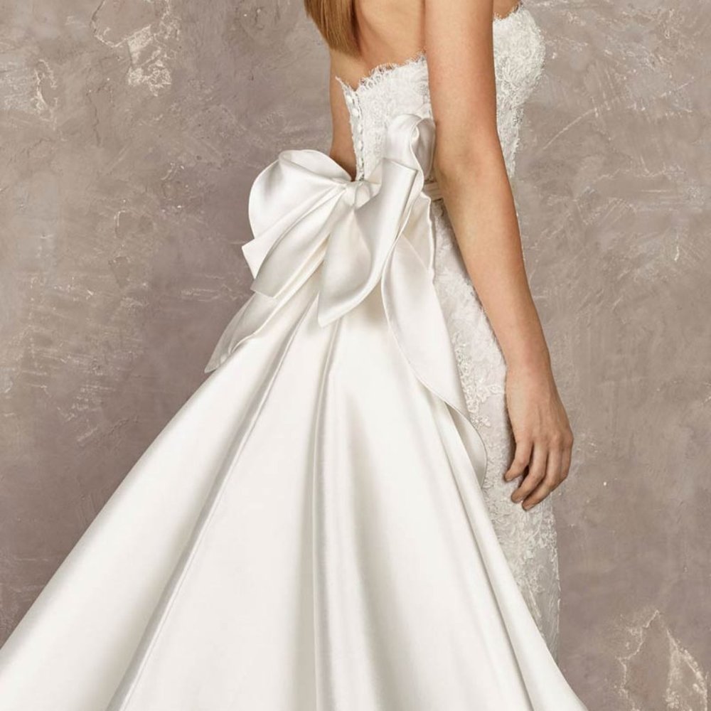 Pronovias Yoisi Wedding Dress